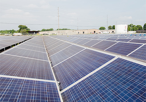 A field of solar panels under a clear, blue sky.